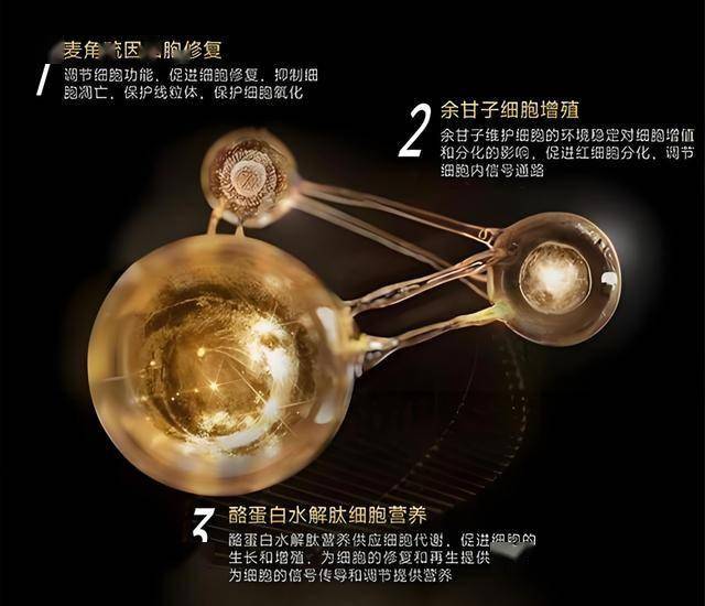 ec外汇平台官网今天外汇行情解析，让你轻松把握市场动态！